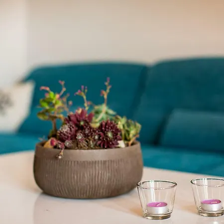 Couette-café & Poppy Rose